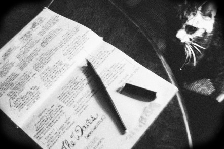 KONICA MINOLTA DIGITAL CAMERA