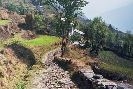 Autosave-File vom d-lab2/3 der AgfaPhoto GmbH