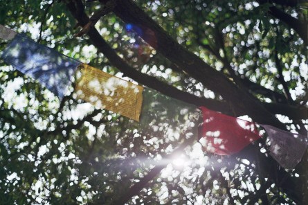 Autosave-File vom d-lab2/3 der AgfaPhoto GmbH